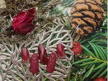 ユニオンネイル川崎(UNION NAIL)/2024/12 Nails-8