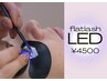 限定価格【LED】 100本 &nbsp;&nbsp;¥7500 → ¥4500