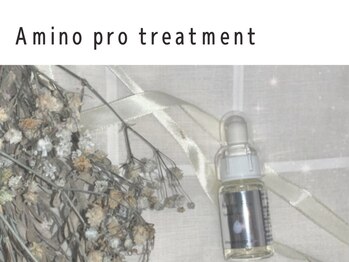 ディーメイプル(D maple)/アミノ酸トリートメント*