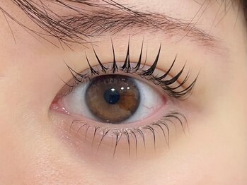 アイクイック 亀戸店(Ai Quick)/パリジェンヌラッシュリフト