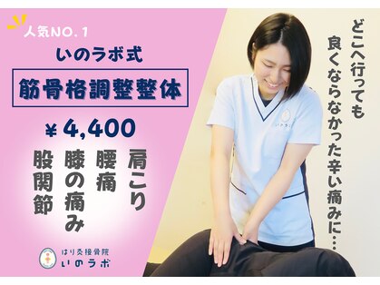 いのラボ 小新院の写真