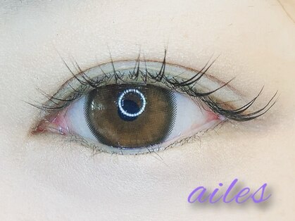 エール(ailes)の写真