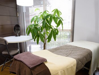 フェリシア(felicia)/