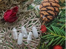 ユニオンネイル川崎(UNION NAIL)/2024/12 Nails-9