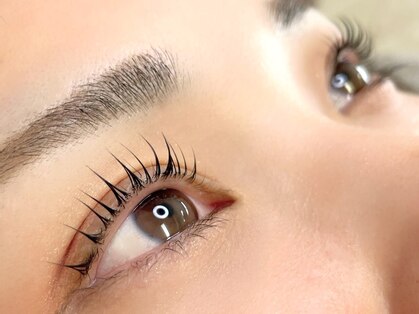 ラ コプタ(La:coptA)の写真