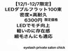 【負担軽減】LEDダブル100束◆細毛でもしっかり密度UP　オフ無料