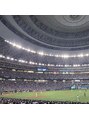 ロアー(Loar)&nbsp;野球観戦