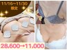 【11/30まで】人気No.1マシン×神ハンドWケアで速攻ふっくら美バストへ¥11000