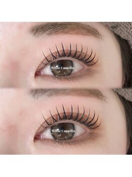 ホワイトカメリア 上本町店(White Camellia)/マツエクサロン/まつげパーマ