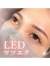 《オーナー伊左次担当》LEDマツエク　80本（アイシャンプー付き） ￥8360