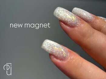 リュウ 銀座(lieu)/NEWマグネットネイル30色