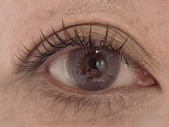 カラン 焼津店(CALIN)/LEDフラットラッシュ100本