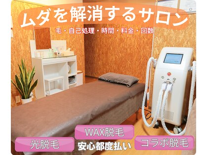 チア(Cheer)の写真