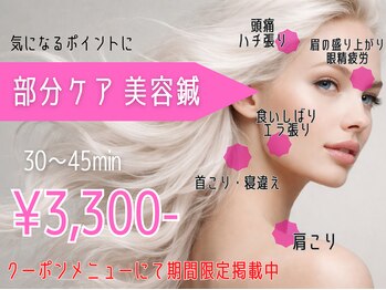 鍼灸チャンドラ(鍼灸Chandra)/好評につき延長！部分ケア美容鍼