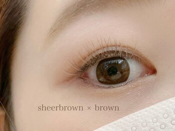 ハール(haar)/シアーブラウン×ブラウン