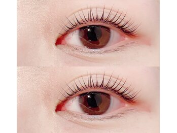 ミニョンヌ(mignonne)/パリジェンヌラッシュリフト