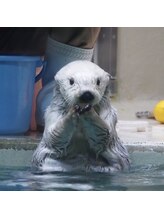 アズジーノ 札幌店(AZUjino) nailist yuu