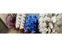 ラッキー 渋谷店(Lucky)