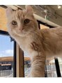 カレン 自由が丘(KALEN) 猫が好きです。