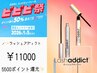 ビビビ祭!ラッシュアディクト 【5500ポイント還元】