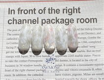 アネモネ(ANEMONE)