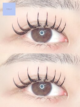 ステラ(Stella)/LEDバインドロック100束