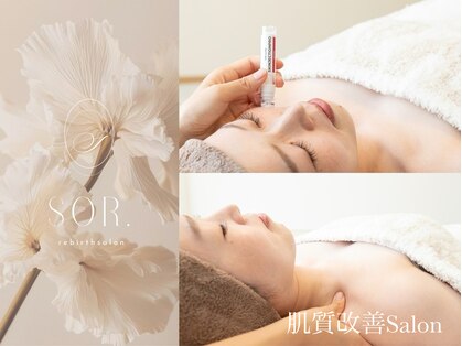 ソアの写真