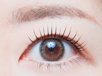 ハローハローアイラッシュ(Hello.Hello.eyelash)の写真/大人女性の目元を美しく☆似合わせまつげパーマとトレンド眉毛