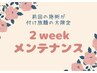 【つけ放題の方限定】２weekメンテナンス