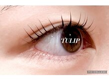 トゥルプ(TULIP)/デザインまつ毛パーマ