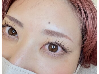 プルメリア(Plumeria)/