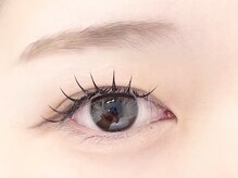 チェミール(CHEMIR)/フラットラッシュ100本