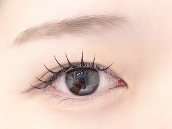 チェミール(CHEMIR)/フラットラッシュ100本