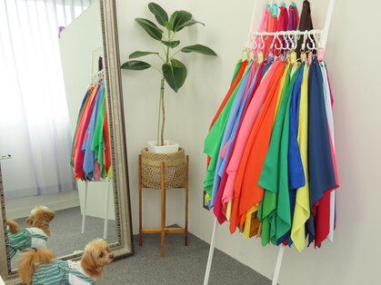 ブリエ(Briller)の写真