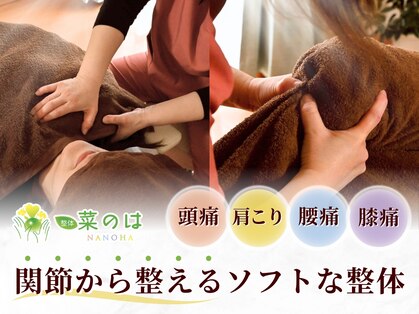 整体 菜のはの写真