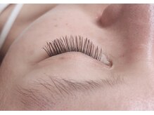 エル ヒヒ(L ヒヒ)/