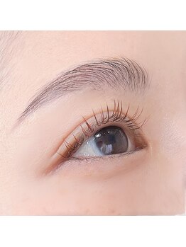 サラ(Sarah.)/HBL &フラットラッシュ100本