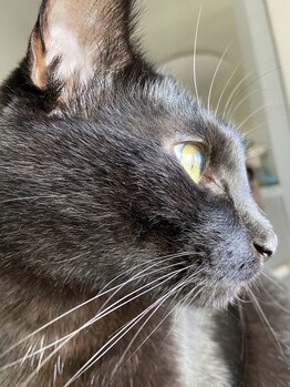 タジマ カイロプラクティック/男前