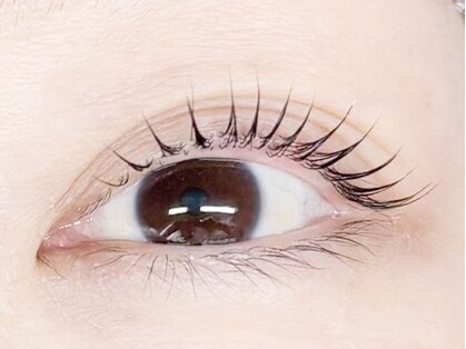 ブルーム(Bloom.)の写真