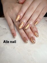 アリーネイル(Alie nail)/【綺麗で華やか】マグネット