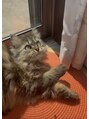 イーグル 熊谷(EAGLE) 休日外に出かける事も多いですが家ではよく癒しを貰ってます!