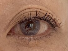 カラン 焼津店(CALIN)/LEDフラットラッシュ100本