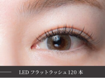 ベルル(Bellulu)/LEDエクステ120本