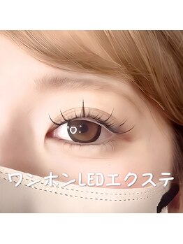 アモ(AMO)/ワンホン