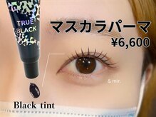 アンドミル(&mir.)