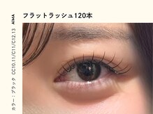 アイマ(AIMA)/フラットラッシュ120本