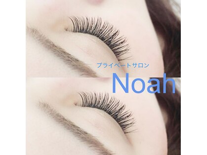 ノア(Noah)の写真