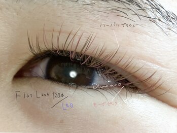 プルームミコ(Plume mico)/フラットラッシュ120本/LED