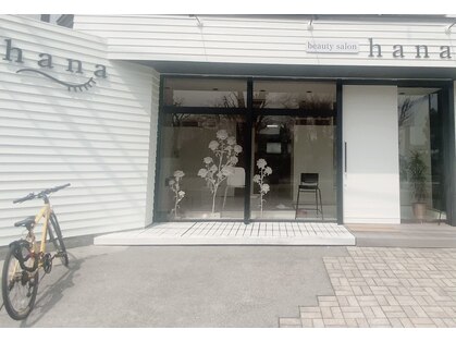 ハナ(hana)の写真