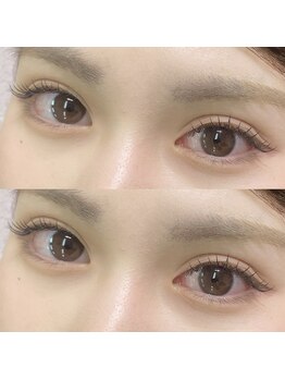 テアシア メメ(Teasia meme)/【高知】セーブル120本